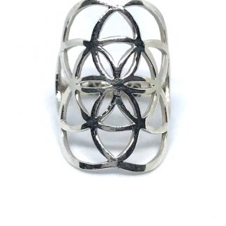 Anillos